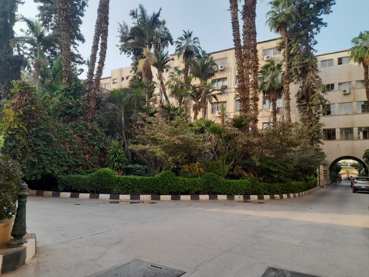 NRC landscape among the buildings