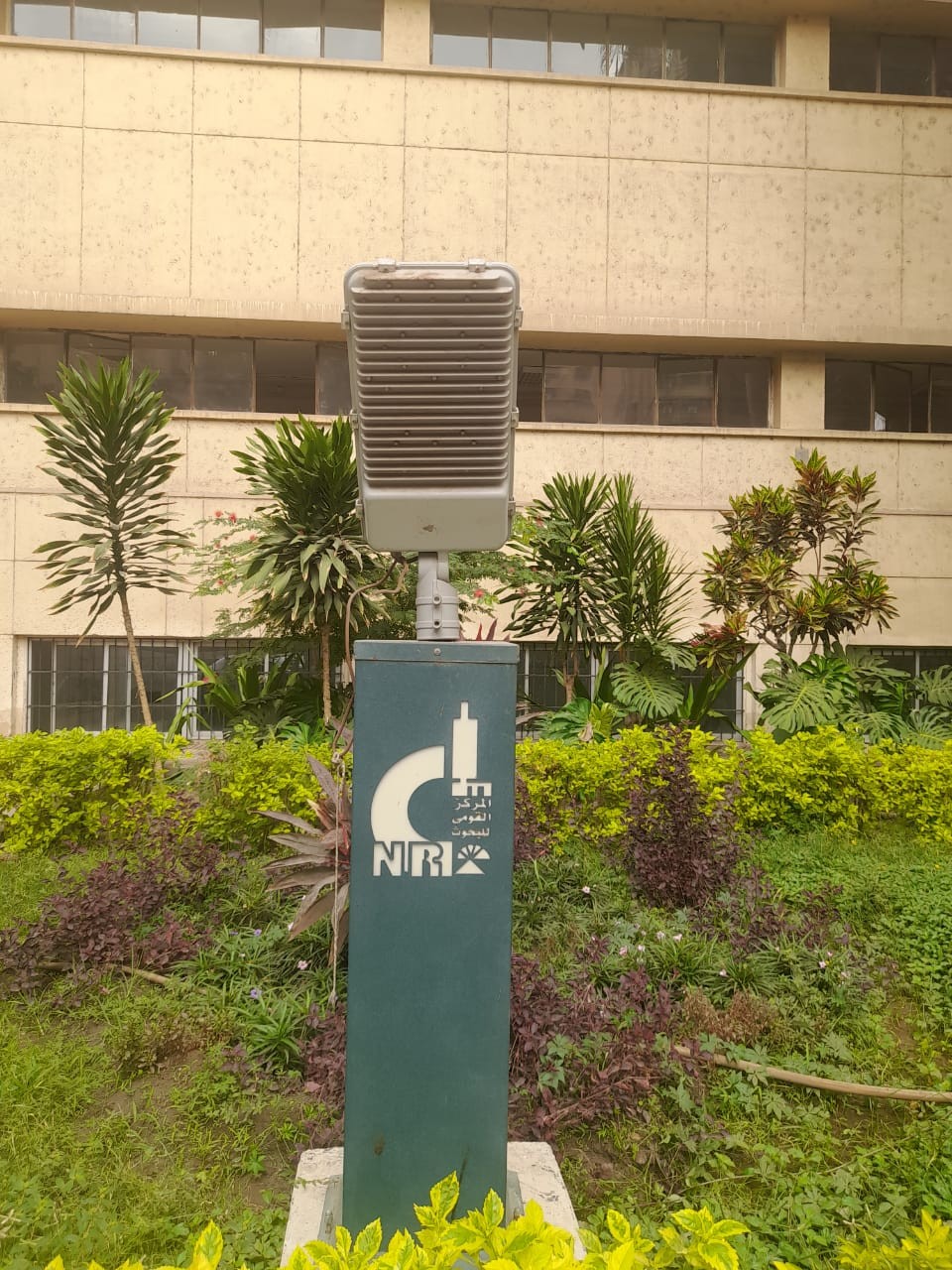 NRC landscape among the buildings