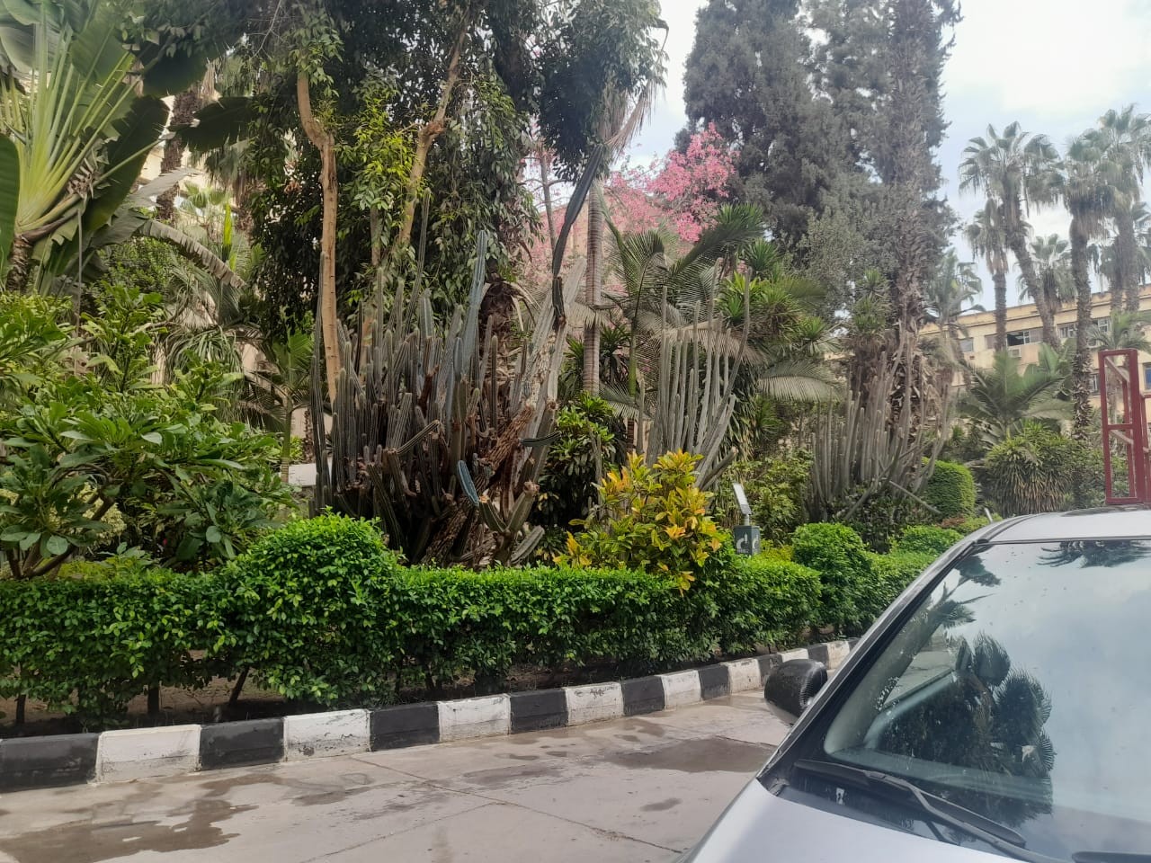 The old trees and the amazing landscape