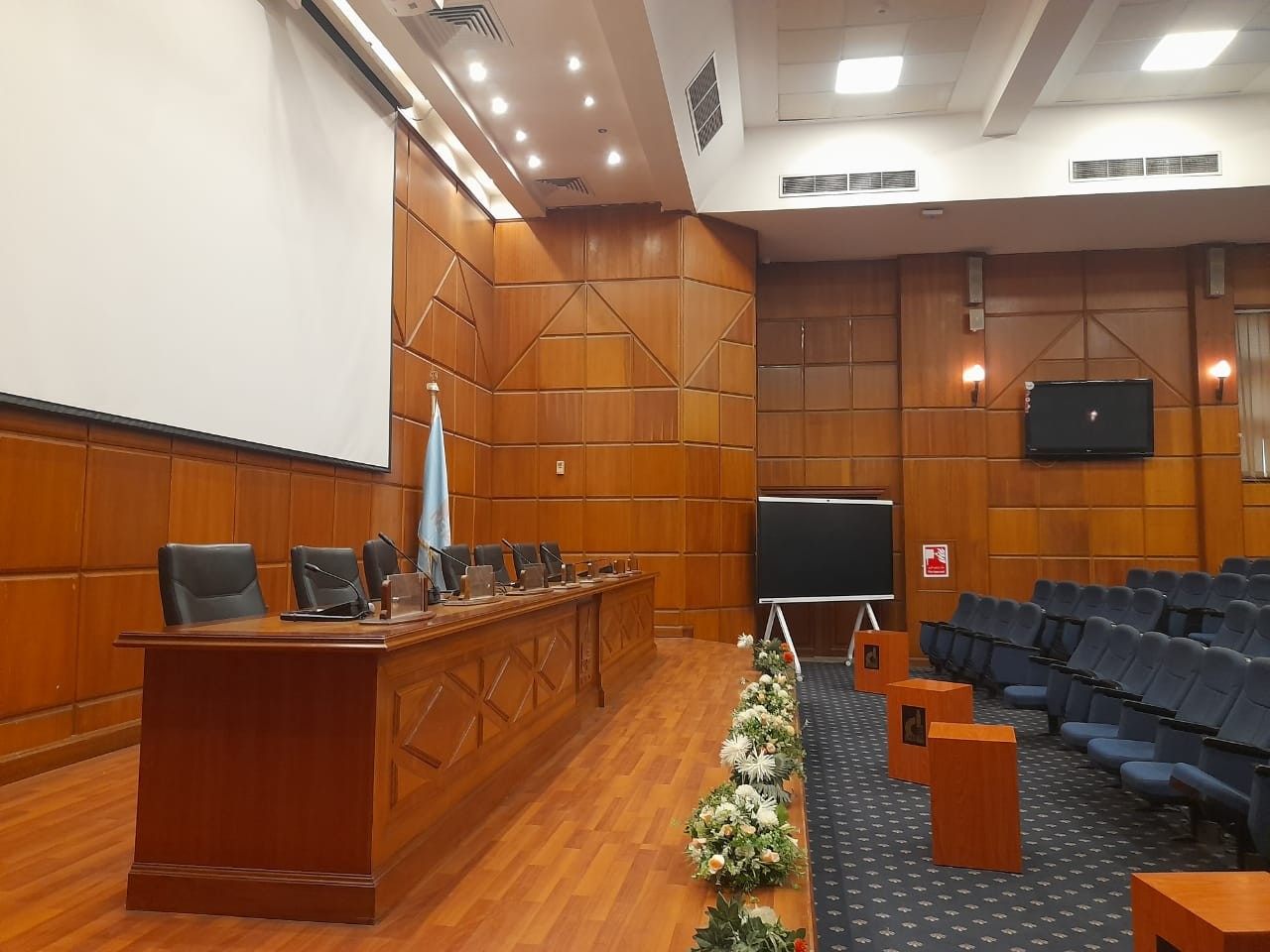 Prof. Hany El-Nazer Conference Hall